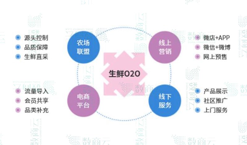 生鲜电商平台：新鲜生活的快车道